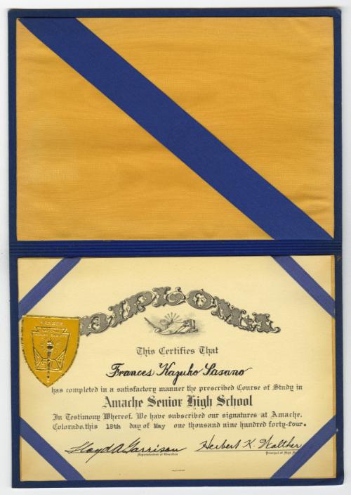 diploma