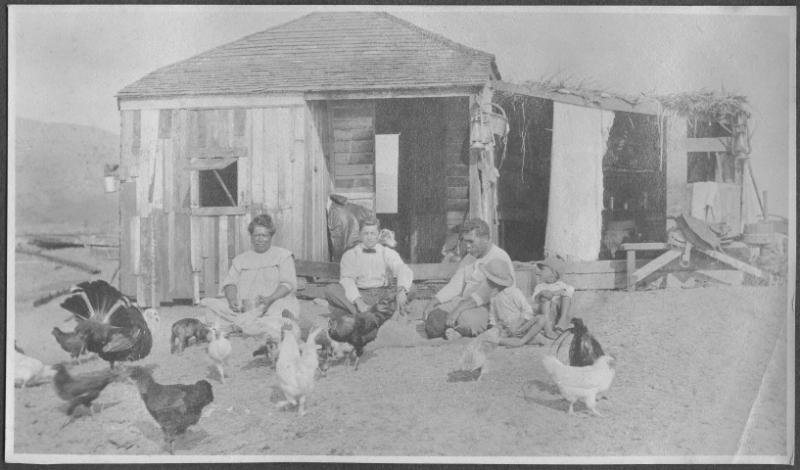 [Tanaka photograph album, ca. 1907-1912]