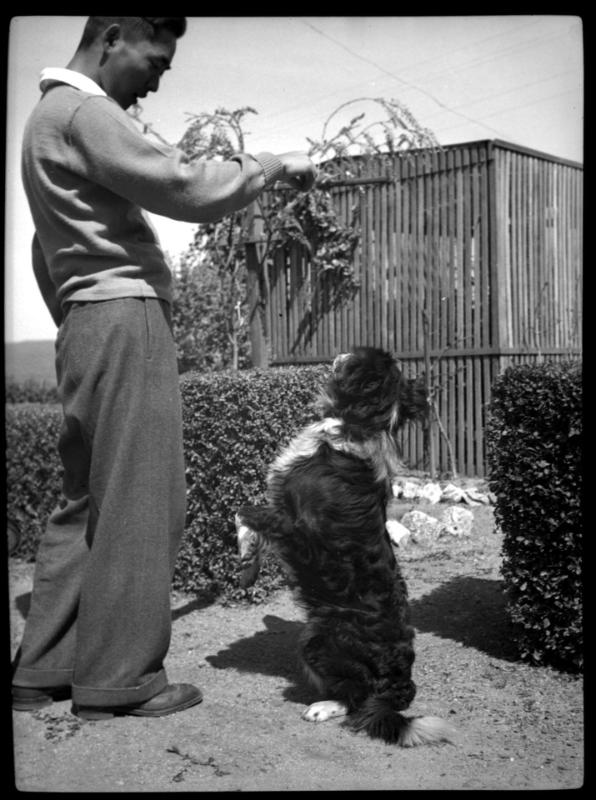 Frank Miwa with dog doing trick