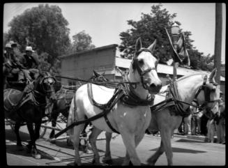 Horses and carriage