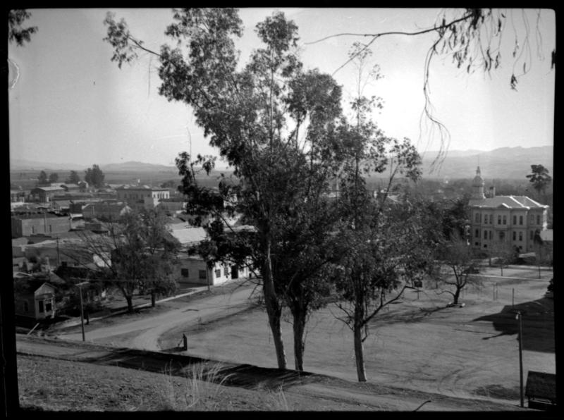 UC Berkeley campus and trees