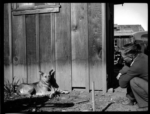 Man and child with dog