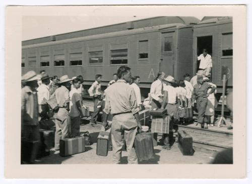 Crowd boarding a train