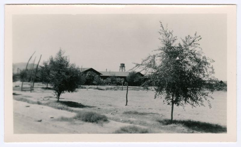 Barracks and trees