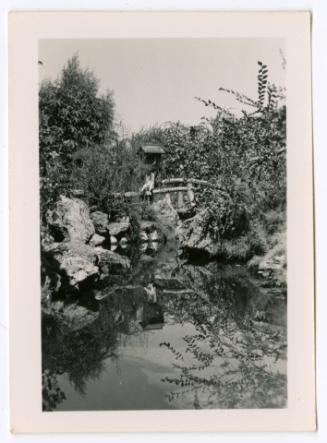 Bird house on pond