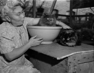 [Mrs. Sakai and cats, February 17, 1950]