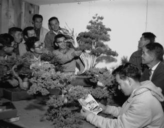 [John Naka teaching bonsai at home, California, November 1962]