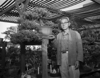 [Frank Nagata and bonsai class at Alpine Baika Bonsai Nursery, Los Angeles, California, 1964]