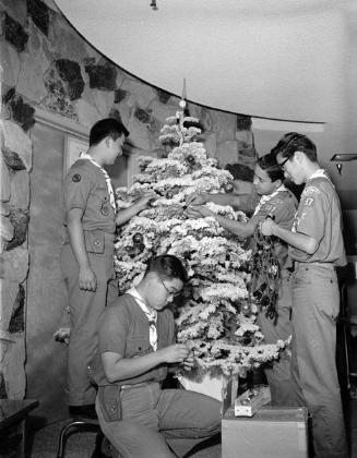 [Los Angeles Boy Scout Troop 197 decorating Christmas tree, California, 1964]