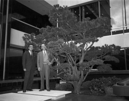 [Nunokawa Japanese garden in Occidental Center, Los Angeles, California, April 10, 1965]