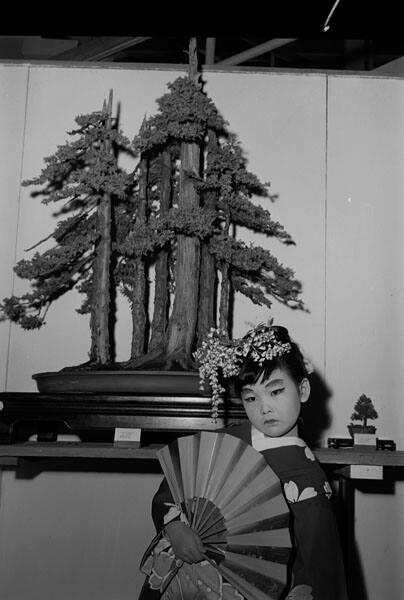 [California Bonsai Society 11th annual exhibition at California Museum of Science and Industry, Los Angeles, California, April 7-14, 1968]