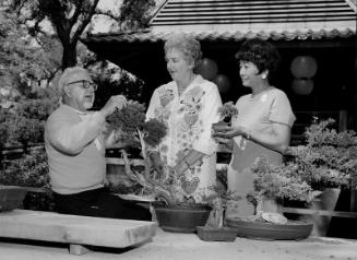 [Third Annual Bonsai Festival at Descanso Gardens, La Canada, California, September 17, 1968]